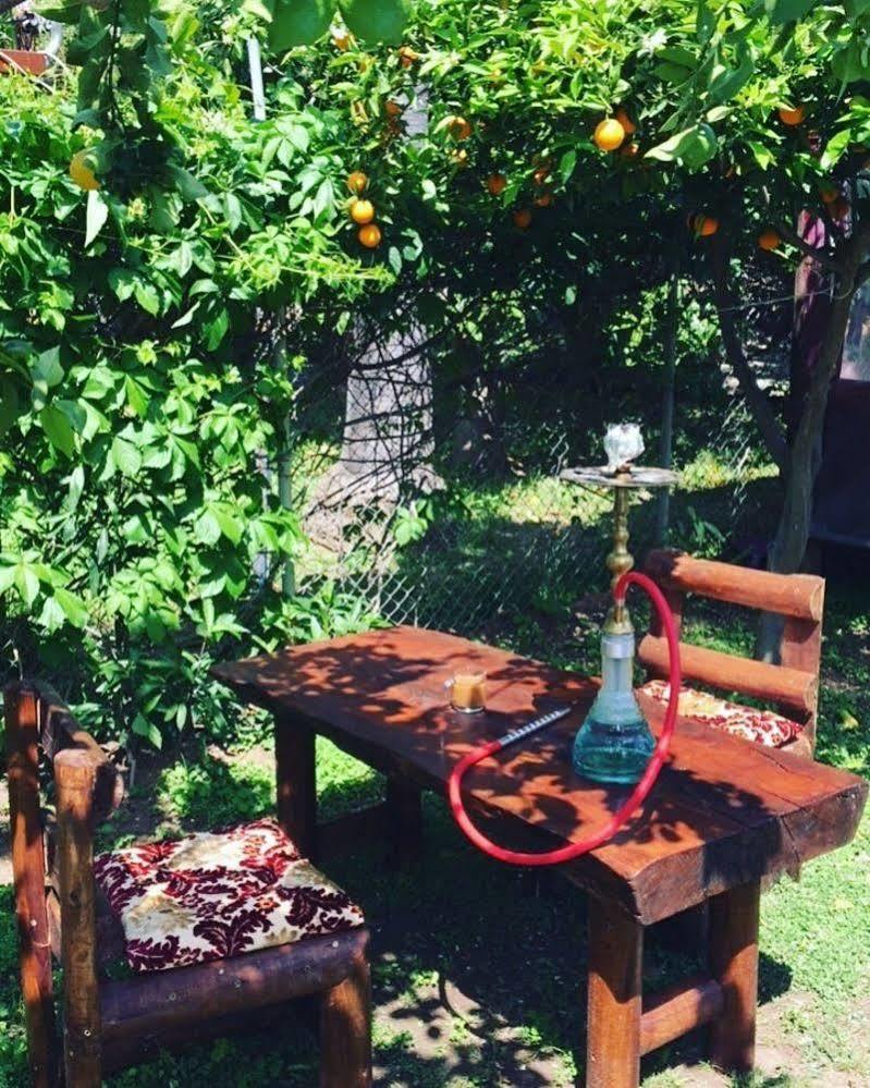 Alican Pension Çıralı Buitenkant foto
